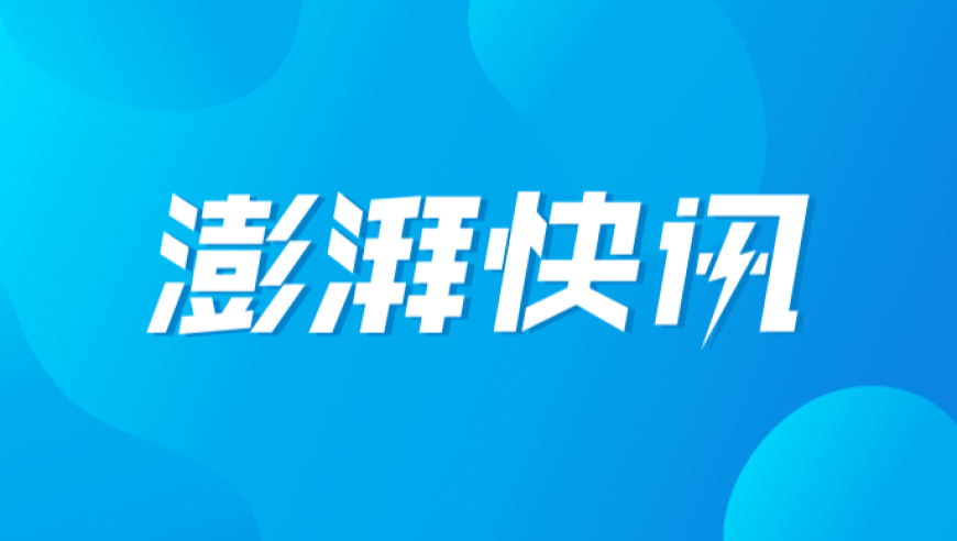 女子养的宠物兔像毛绒玩具,2025年新资料大全49CC,多元化方案执行策略_免费版V14.95