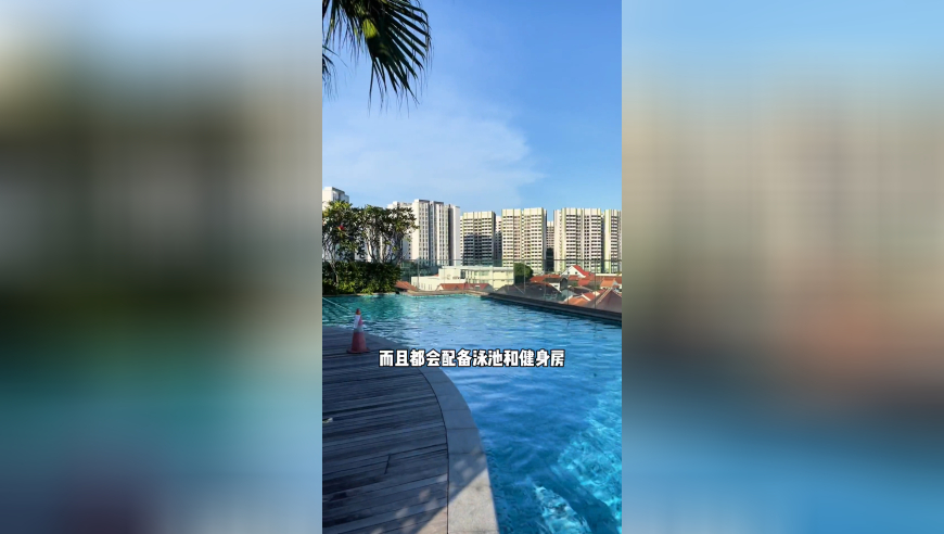 奥门天天开彩好正版挂牌,高通命名新产品品牌跃龙,经济性执行方案剖析_社交版V8.67